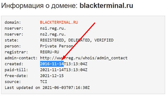 Что представляет из себя компания BlackTerminal? Есть ли опасность?