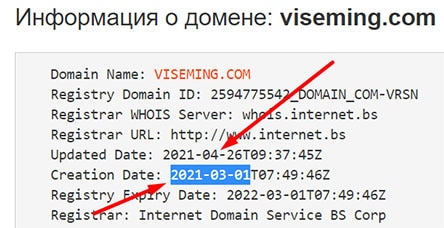 Обзор заморского проекта Viseming.com. Можно ли довериться? Отзывы.