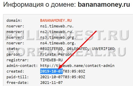 Проект Banana Money — есть ли опасность развода? Отзывы.