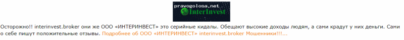 Обзор инвестиционной платформы InterInvest: тарифные планы и отзывы клиентов