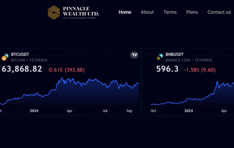 Остерегаемся. Финансовая компания Pinnacle wealth ltd(pinnaclewealthlimited.com) — схема для обмана клиентов, отзывы и возврат денег.