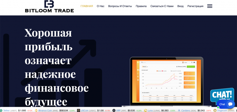 Bitloom Trade отзывы. Обман?